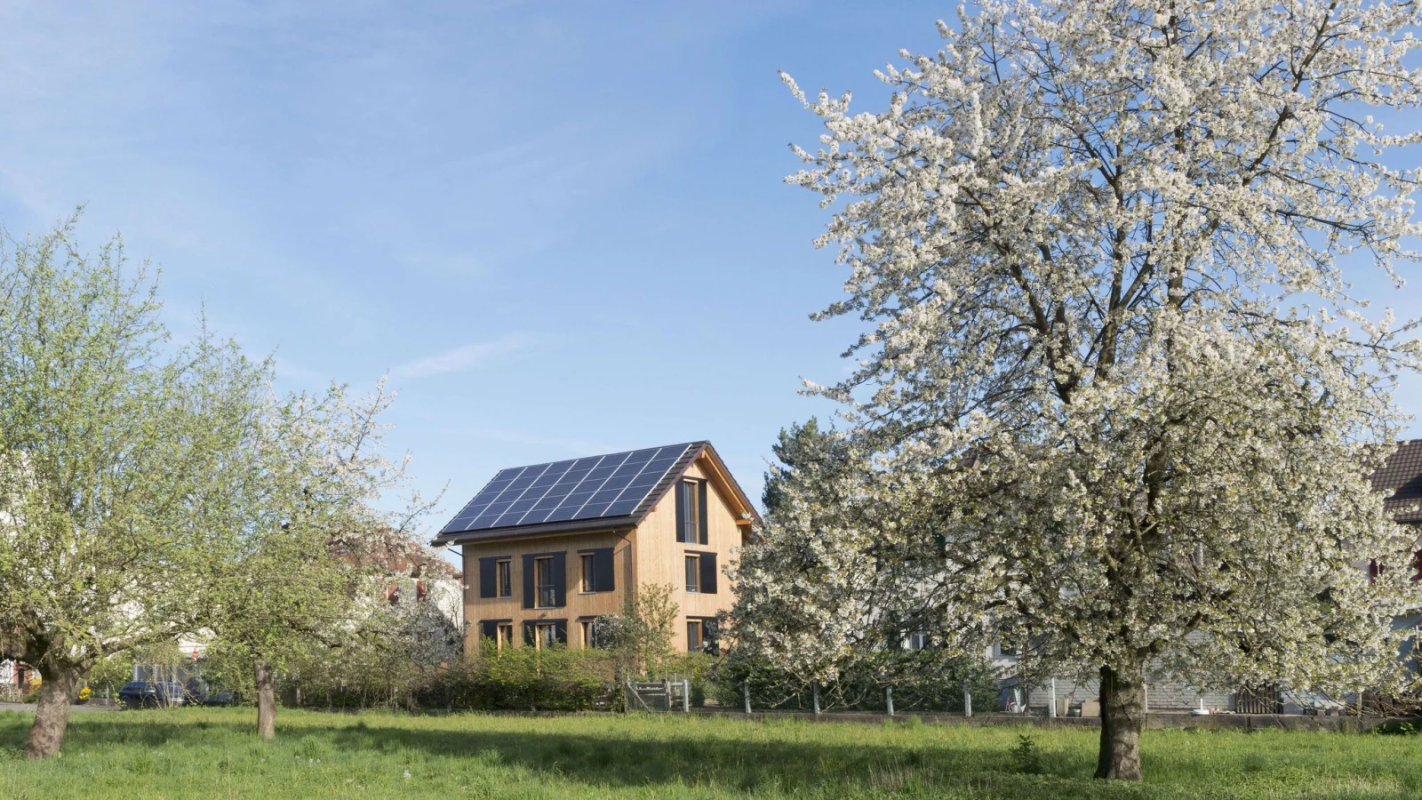 Holzhaus mit Photovoltaikdach zwischen blühenden Obstbäumen.